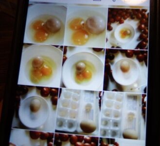 Are Your Chickens Laying Funky Eggs? Image